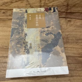 总统是靠不住的（四版）——近距离看美国之二