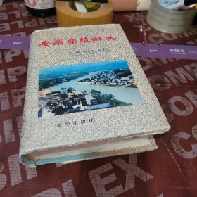 安徽集镇辞典