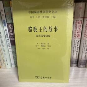 骆驼王的故事：清末民变研究