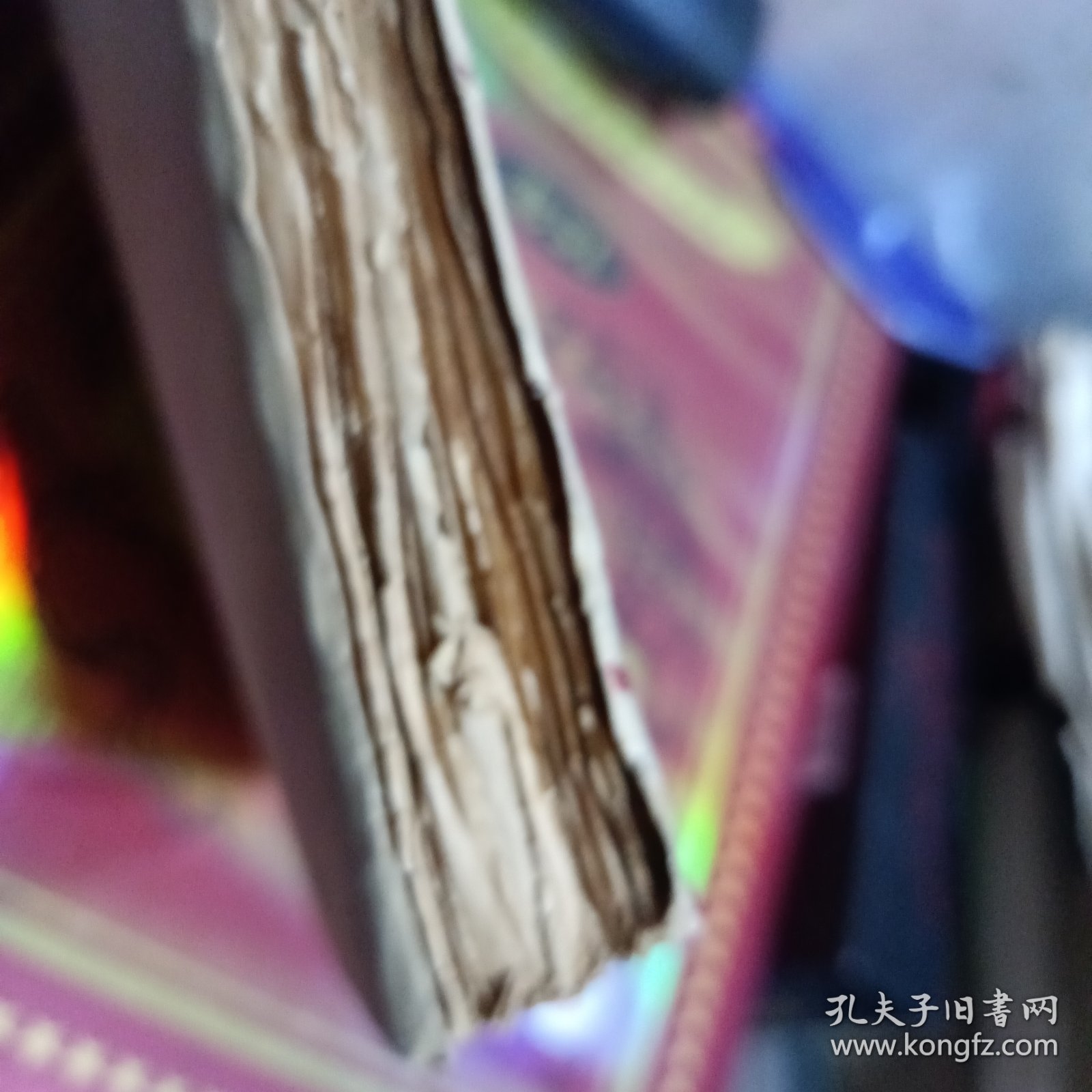 新俄大学生日记-毛边书1929年