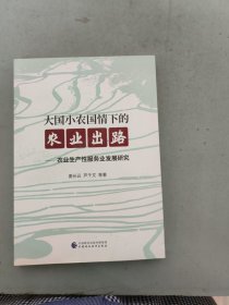 大国小农国情下的农业出路--农业生产性服务业发展研究