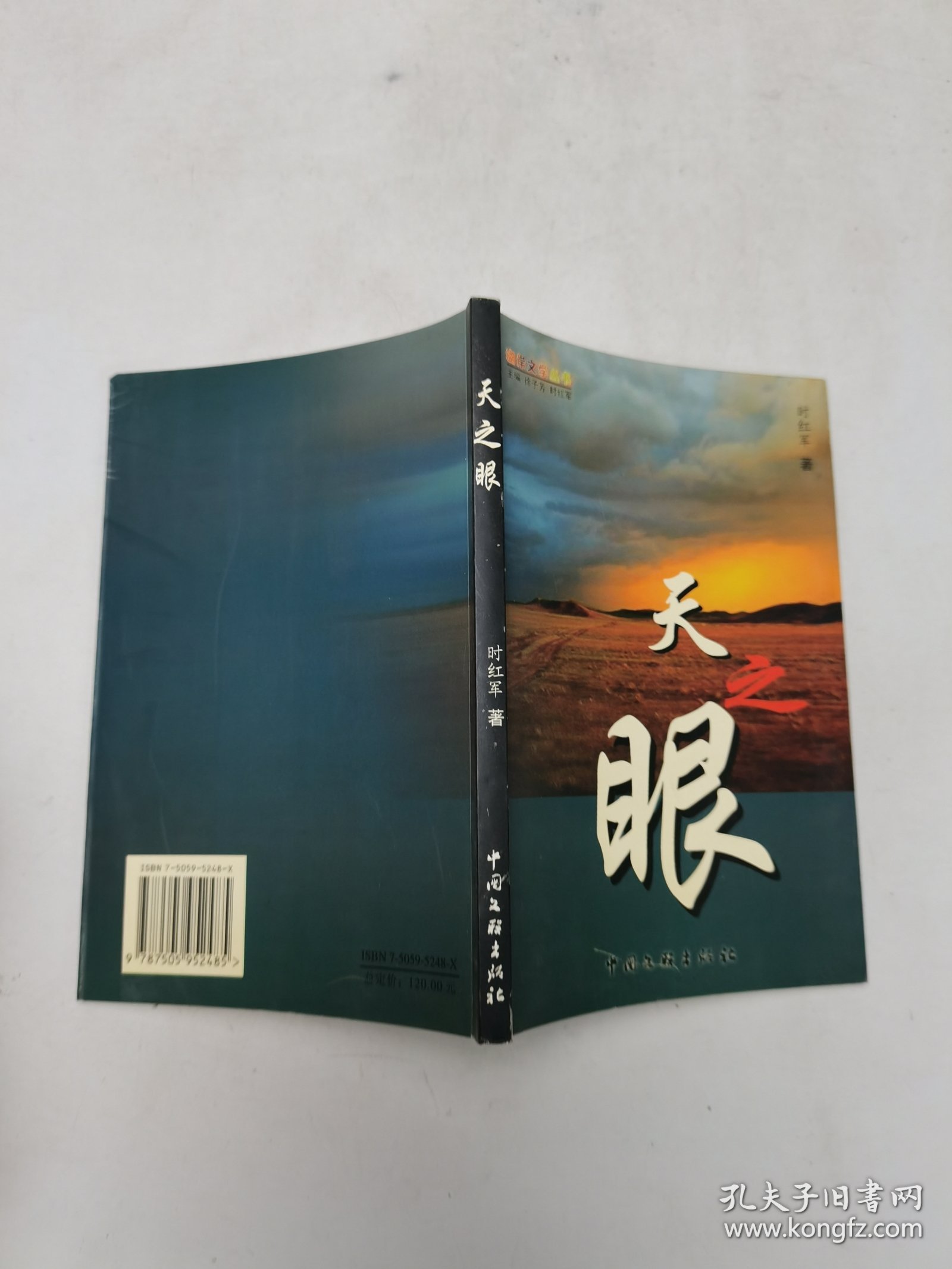 天之眼，湖岸文学丛书