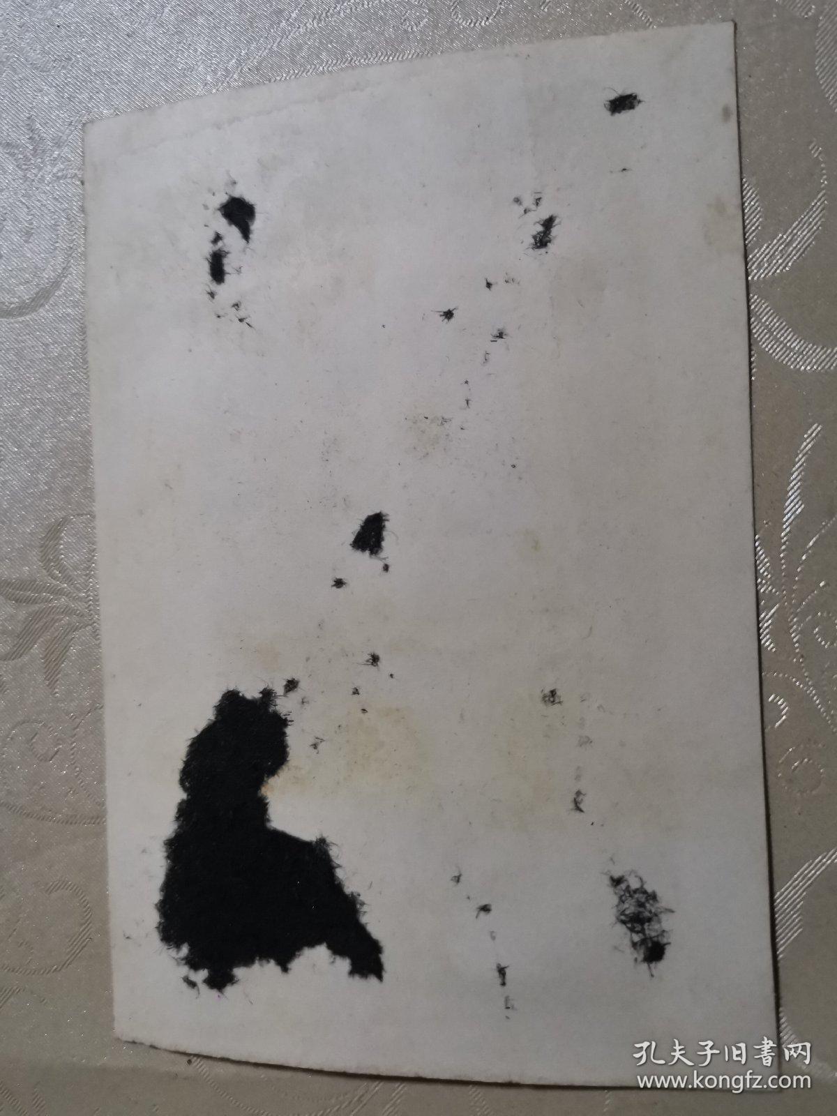 教育文献     1975年下七渡中学十三班毕业留念