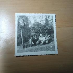 老照片–五个青年坐在景区草地上留影