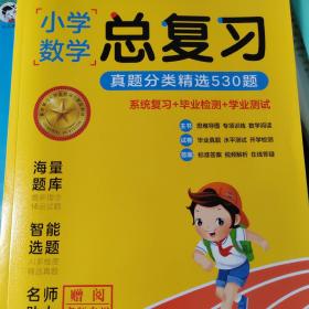 小学数学总复习