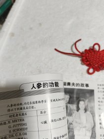 人参的基本认识与人参食谱(共6页)。实物拍摄品质如图