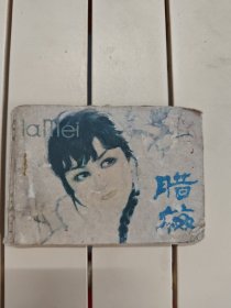 腊梅