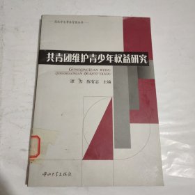 共青团维护青少年权益研究