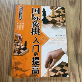 棋牌娱乐指南：国际象棋入门与提高