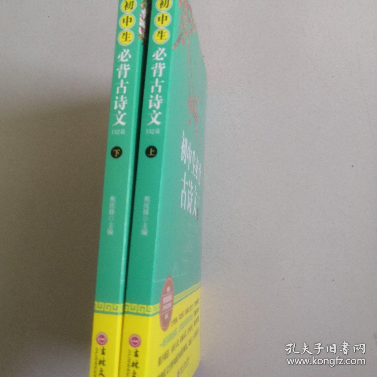 初中生必备古诗文132篇 详解版(全2册 )人教版部编语文教材文言文全解阅读训练老师推荐中学生必背古诗词全集:中学教辅七八九年级课外阅读书籍古诗文鉴赏析阅读