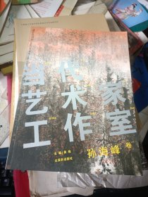 当代艺术家工作室 孙海峰卷