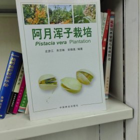 阿月浑子栽培