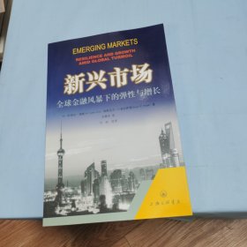 新兴市场：全球金融风暴下的弹性与增长