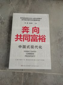 奔向共同富裕（读懂共同富裕，看清未来中国！深入浅出，雅俗共赏，两大TOP级智库联袂巨献，通俗理论重磅大作！）