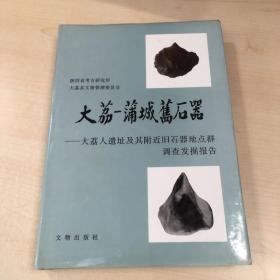 大荔-蒲城旧石器:大荔人遗址及其附近旧石器地点群调查发掘报告