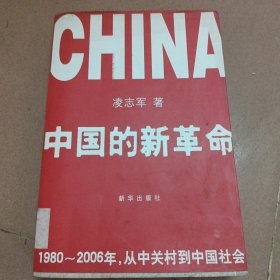 中国的新革命：1980-2006年，从中关村到中国社会