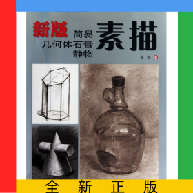 新版简易几何体石膏静物素描(基础美术阶梯训练教材)