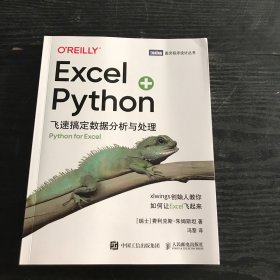 Excel+Python 飞速搞定数据分析与处理 （正版、现货）