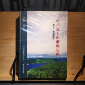 雄鸡冠上的璀璨明珠黑龙江省情概览