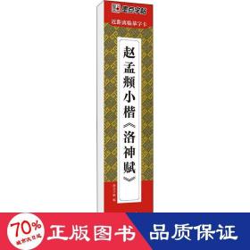 墨点字帖近距离临摹字卡赵孟頫小楷洛神赋初学者小楷临摹视频教程毛笔字帖