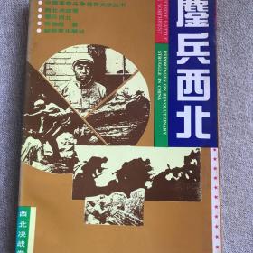 中国革命斗争报告文学丛书—鏖兵西北