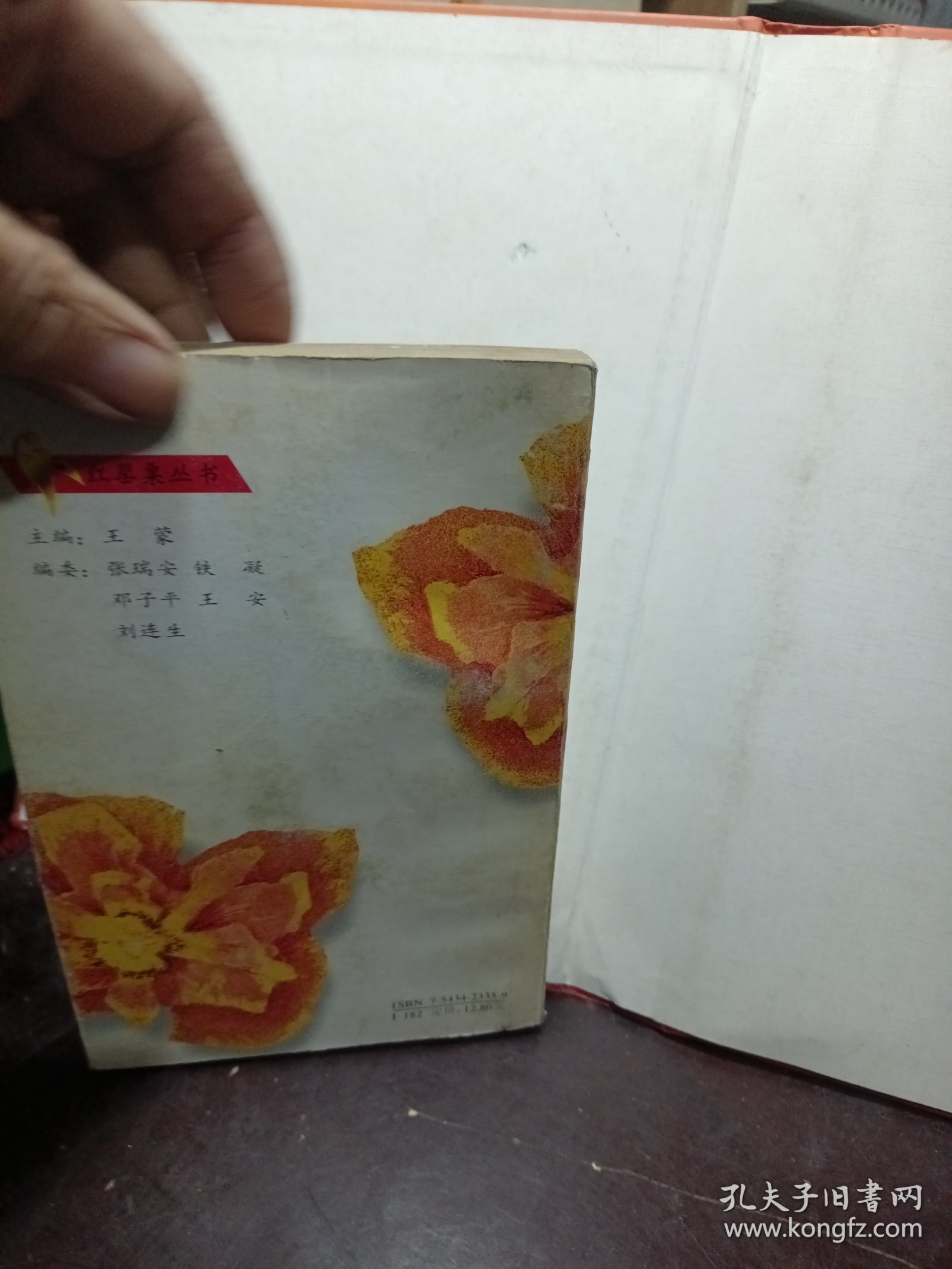 红罂粟丛书——正宫娘娘