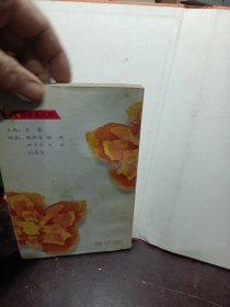 红罂粟丛书——正宫娘娘