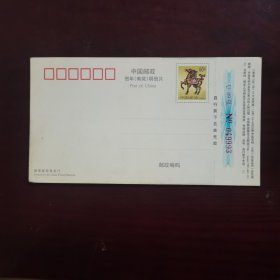 2002年2月贺年（有奖）明信片——163 169上网直通车