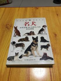 名犬：全世界300多种名犬的彩色图鉴