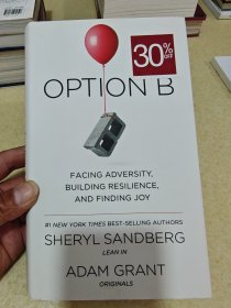 Option B: Facing Adversity, Building Resilience, and Finding Joy