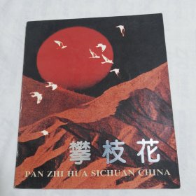 攀枝花（12开画册）