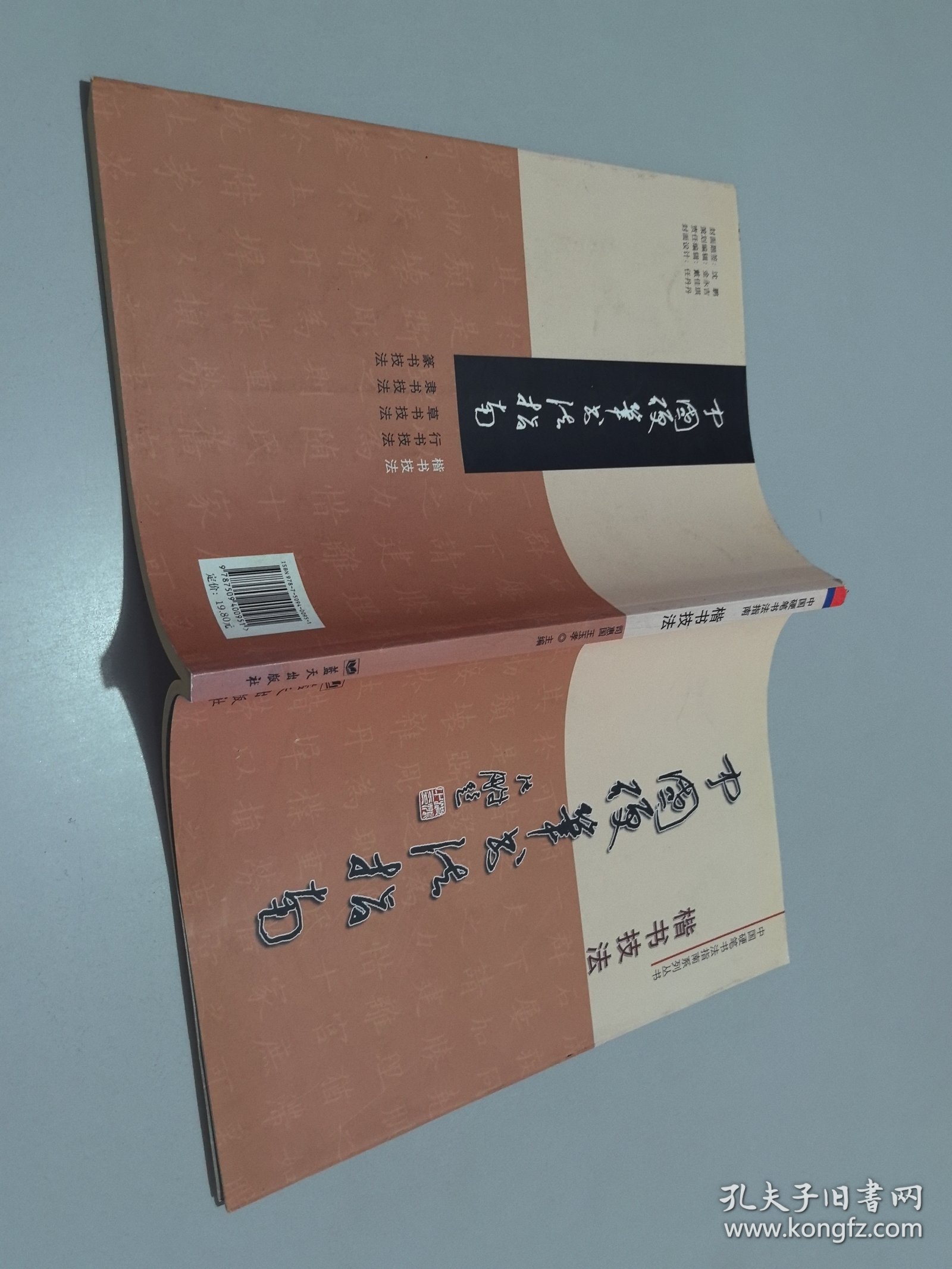 中国硬笔书法指南：楷书技法