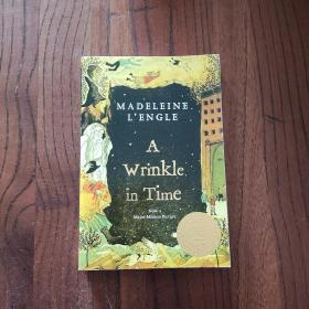 英文原版 A Wrinkle in Time