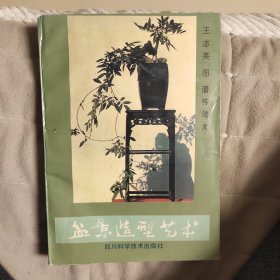 盆景造型艺术