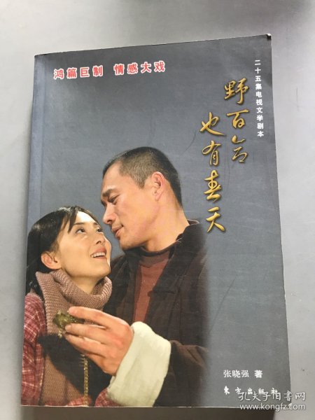 野百合也有春天（25集电视文学剧本）