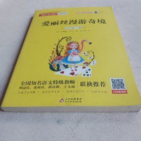 快乐读书吧六年级下册鲁滨逊漂流记+尼尔斯骑鹅旅行记+汤姆索亚历险记+爱丽丝漫游奇境附阅读练习册