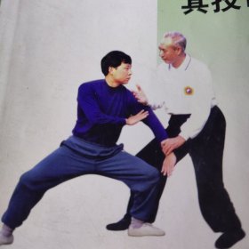 杨式太极拳：小架及其技击应用（增订本）