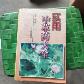 实用中草药大全