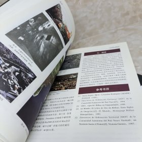 世界城市规划与发展研究 战略规划（IⅡ）两本合售