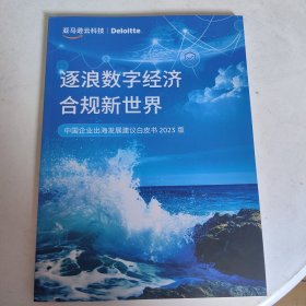 逐浪数字经济合规新世界 亚马逊云科技 中国企业出海发展建议白皮书2023版