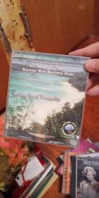 sootbing sea of tranquility DVD