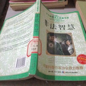 非法智慧