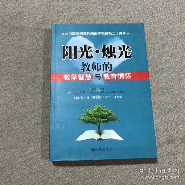 阳光·烛光:教师的教学智慧与教育情怀