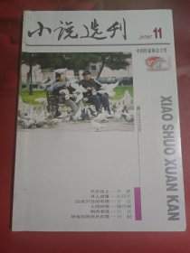 小说选刊 2010-10