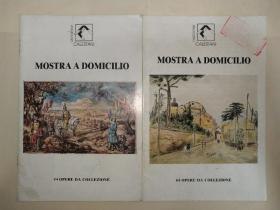 《mostra a domicilio》广西师大艺术系资料室旧藏早期外文原版艺术图录二册，极其罕见。两册合售。