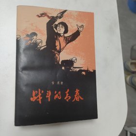 战斗的青春  红色文学  私藏美品  怀旧收藏