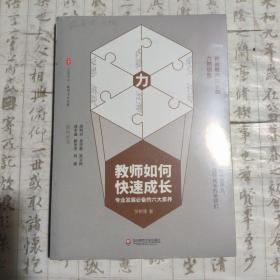 教师如何快速成长：专业发展必备的六大素养 大夏书系