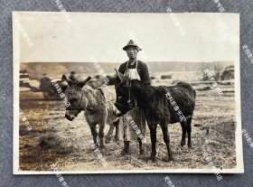 抗战时期 戴围兜的养殖户和他的两头毛驴 原版老照片一枚