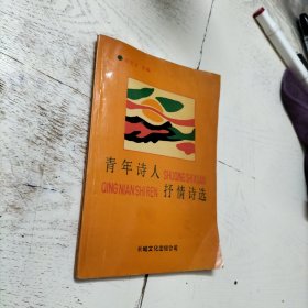 青年诗人抒情诗选