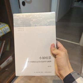 小镇喧嚣：一个乡镇政治运作的演绎与阐释